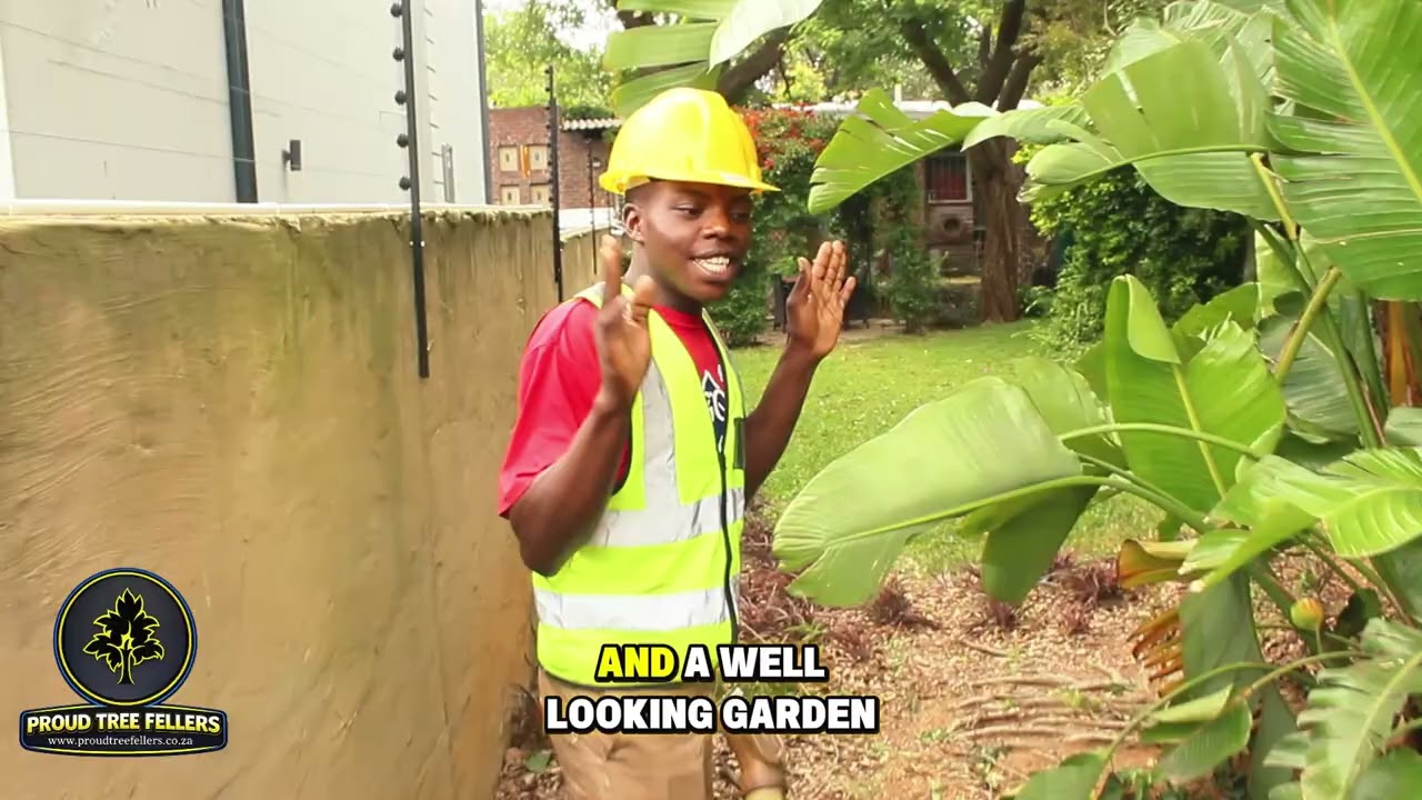 Live in Bromhof 🌳For professional tree cutting, trimming, and site clearing