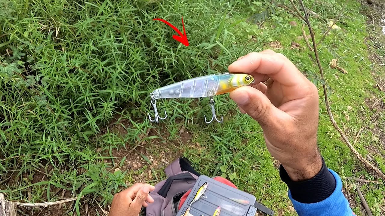 Top 5 Iscas Artificial de Superfície!!! Japonesa, As Melhores...