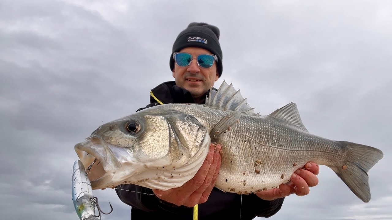 Spigola invernale in Adriatico dalla spiaggia - Winter Seabass from the beach