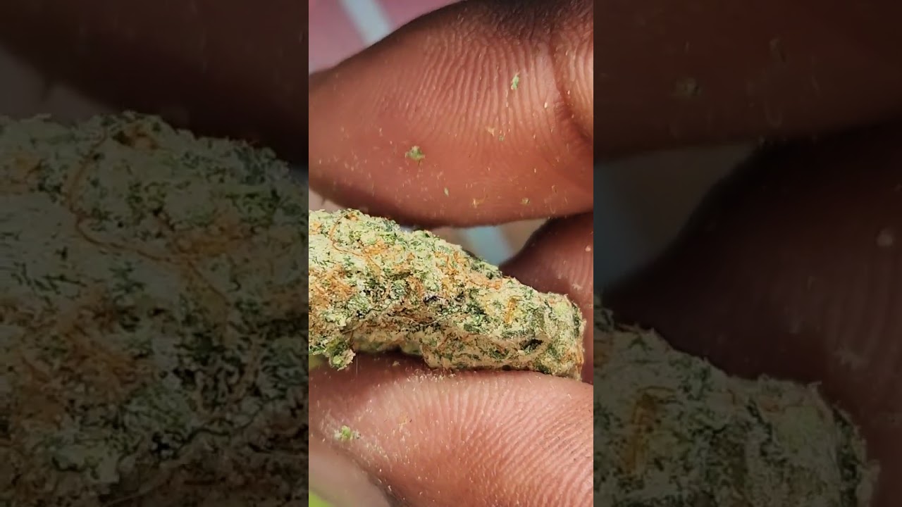 Visual Strain Review: Supernova by OakFruitLand 🔥🔥🔥🔥