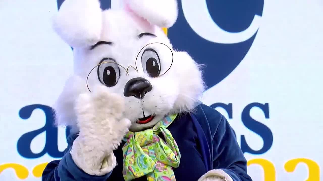 Photos with the Easter Bunny at Haywood Mall