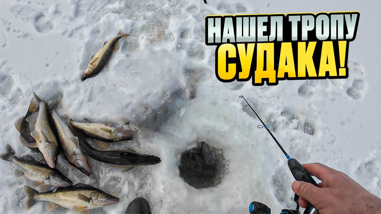 СТОЛЬКО рыбы со льда я ЕЩЕ не ЛОВИЛ!!! ОГРОМНЫЕ СУДАКИ клюют один за одним!