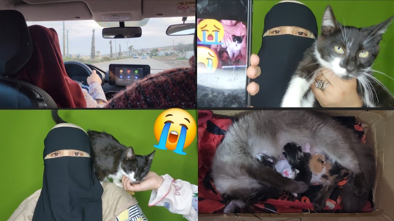 كنبكي وبحرقه بهذا الشيء اللي وقع لنا المشاش دياولي