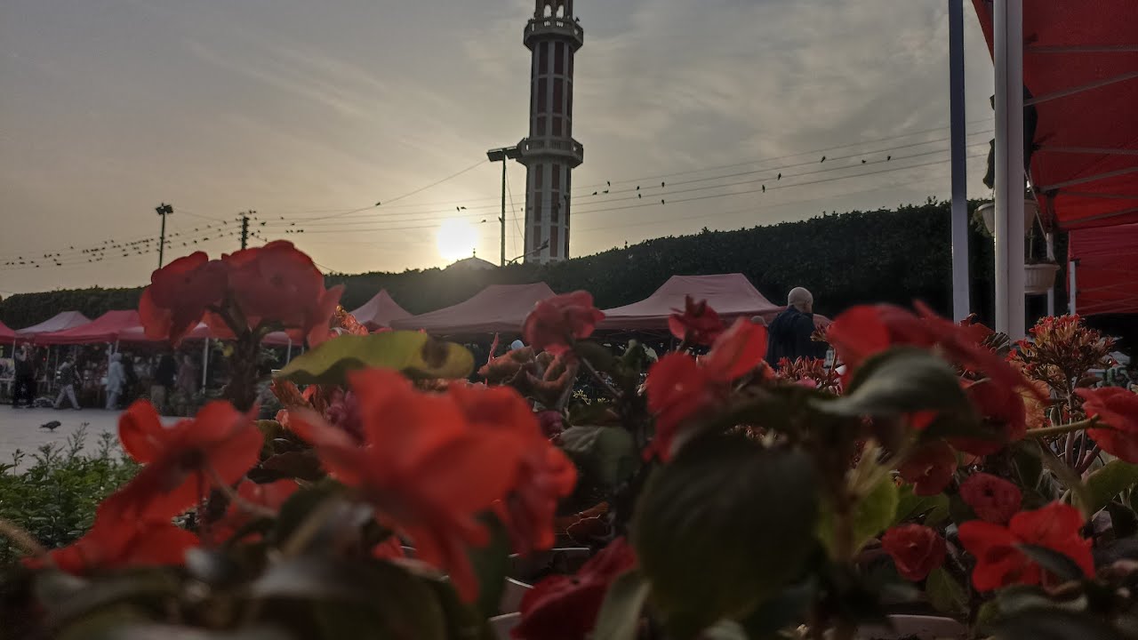 بث مباشر لجولة في معرض النباتات لمدينة البليدة موسم 2025