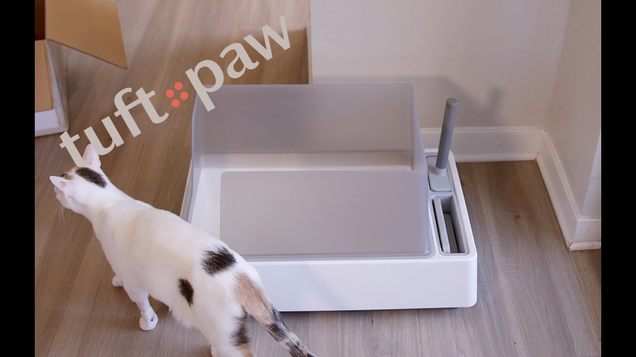 Tuft + Paw Cove Litter Box Unboxing & Review