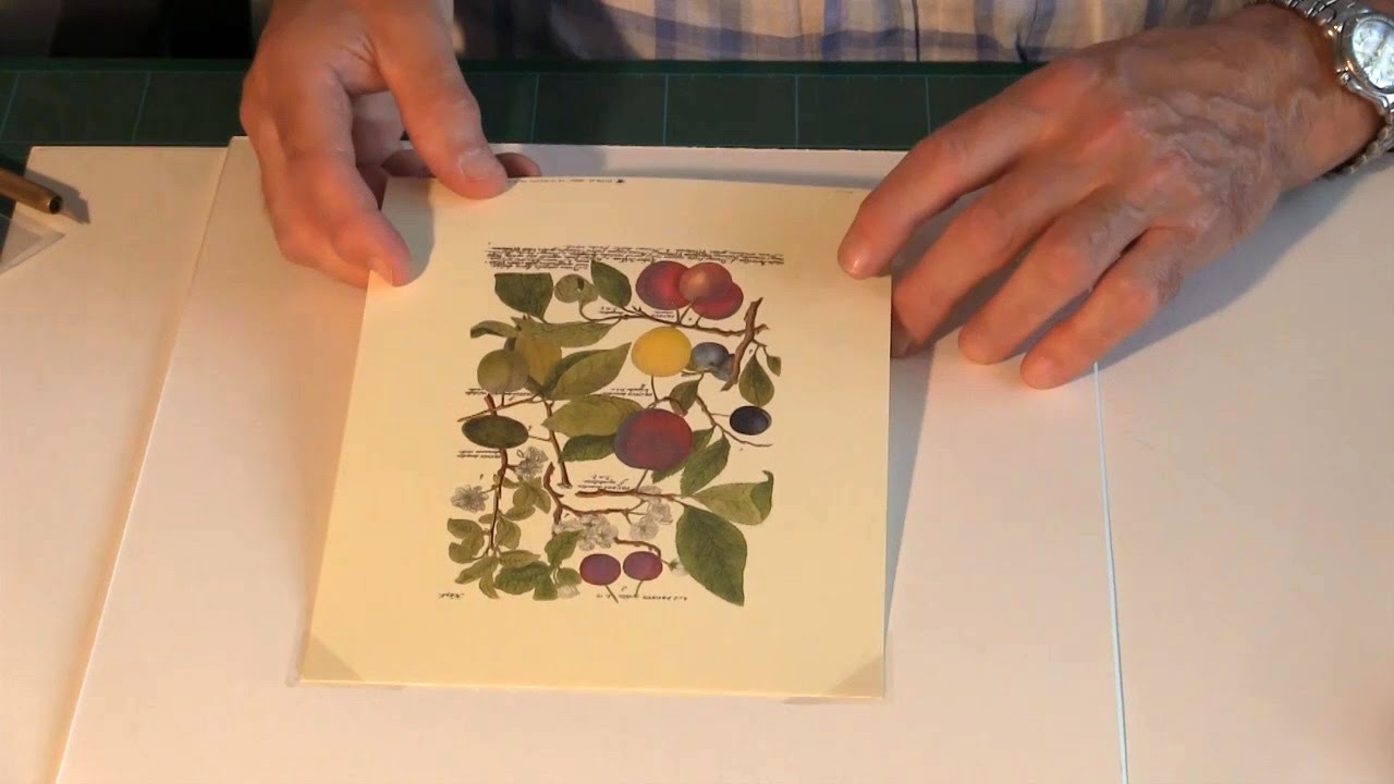 Conservation Framing: 5 - Corner Pockets - ready made
