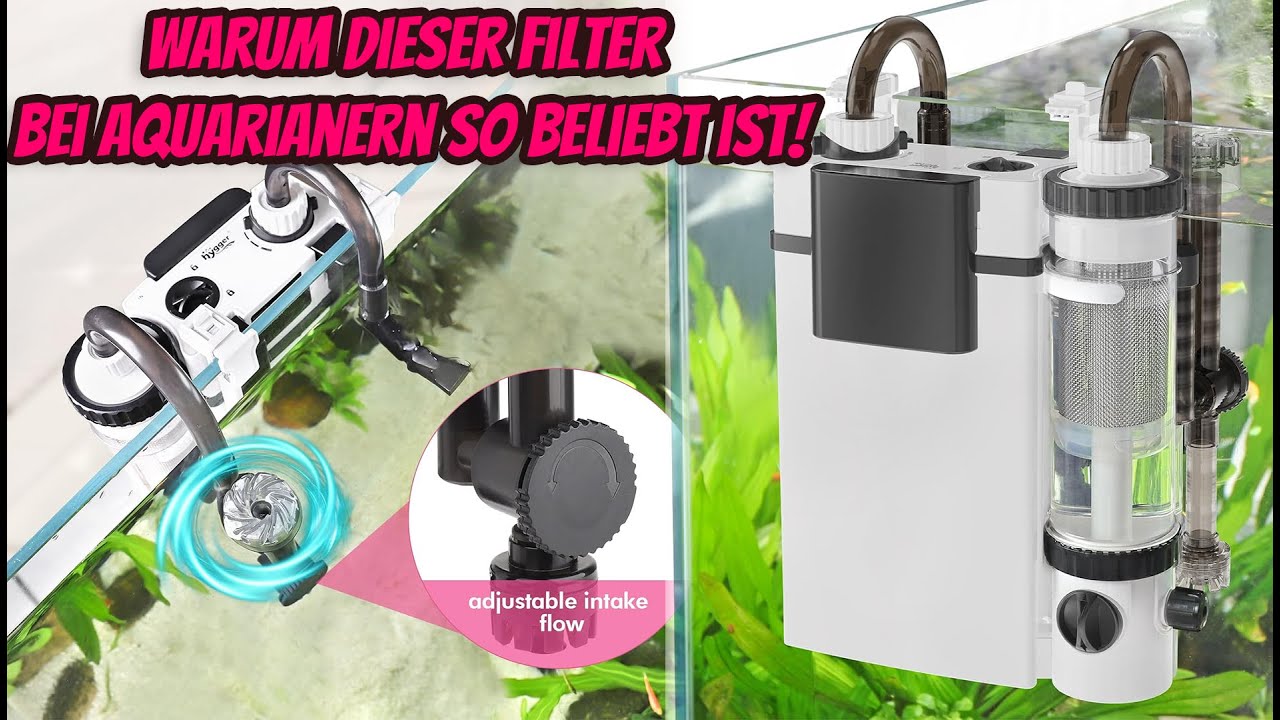 Fischkot? Kein Problem! So hält dieser Filter Ihr Aquarium glasklar
