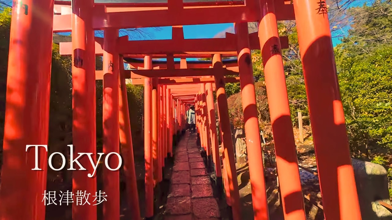 A Calm Walk in Nezu, Tokyo | Winter Shrine Visit