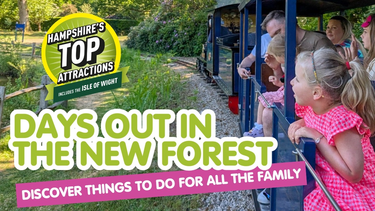 Days out in the New Forest | Things to do in the New Forest for families