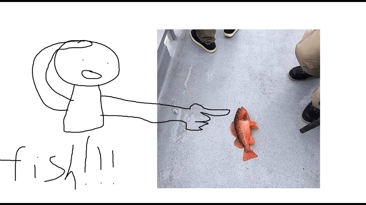 Yeeps Fishing Update!!!1!!!!!