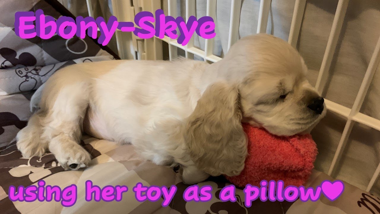 More fun watching and playing with our happy little girl.