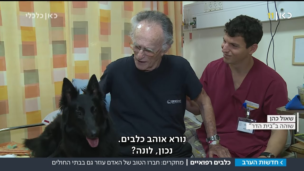 רופא עם זנב: הכלבים שעוזרים לאנשים לחזור ללכת
