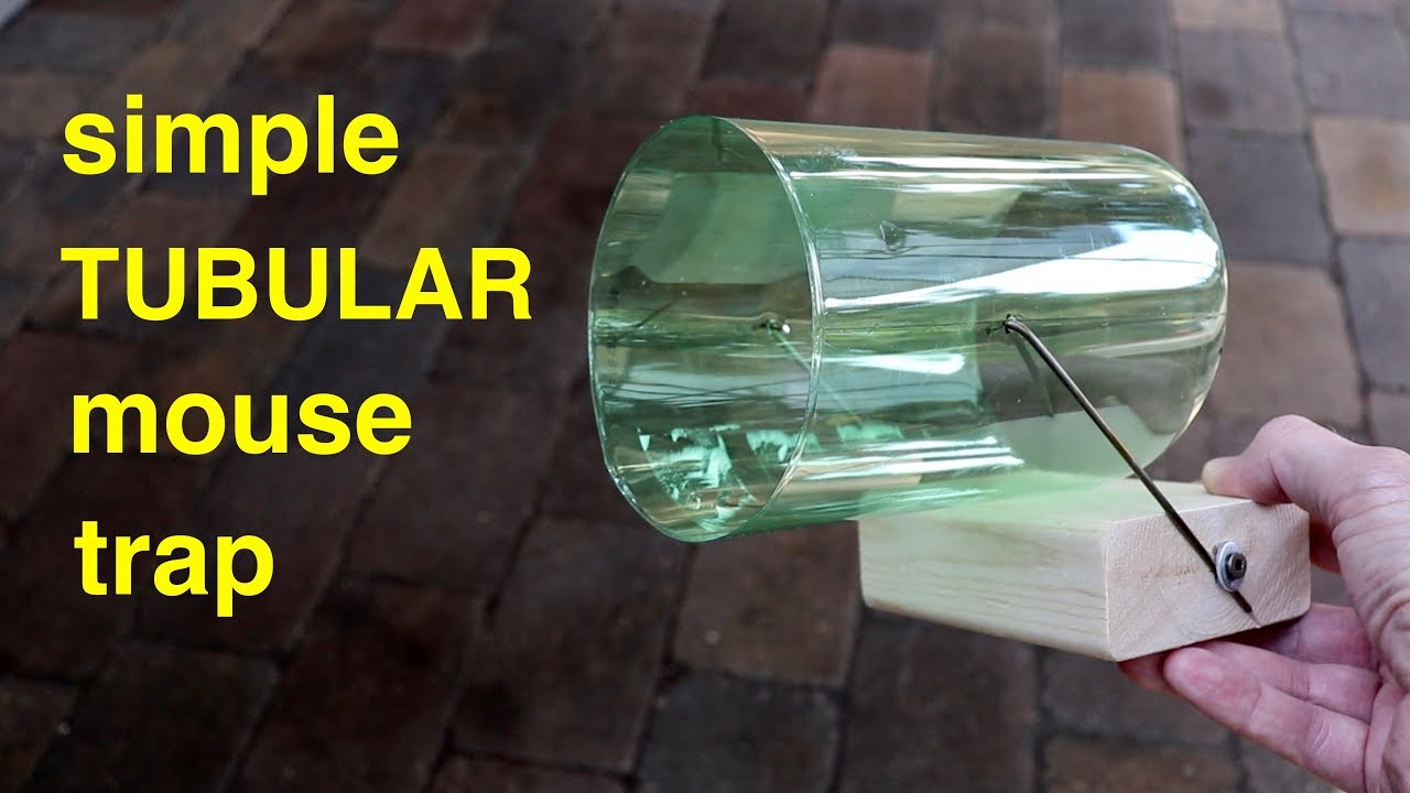 Simple ● Tubular Teeter Totter Mouse/Rat Trap ( that works ! )