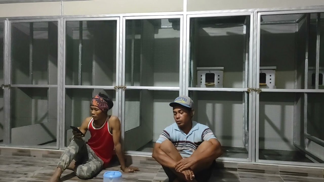 Pembuatan Kandang burung Merpati/Dara model Wartel Milik Putra Lapan