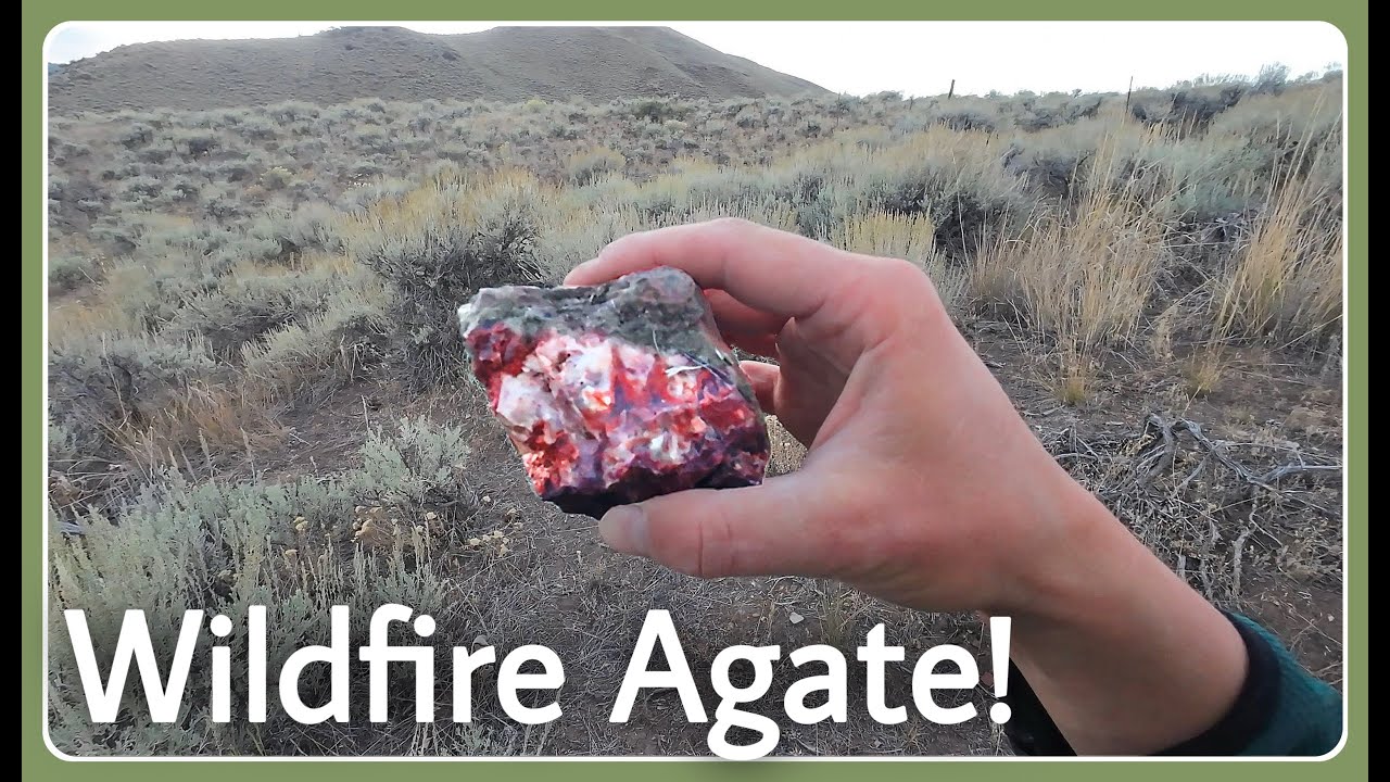 Rockhounding Idaho | Agates and Petrified Wood