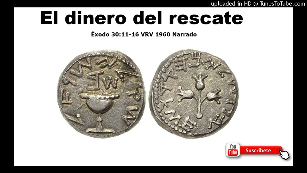 Éxodo 30:11-16 - El dinero del rescate | Libro de Éxodo VRV 1960 Narrado