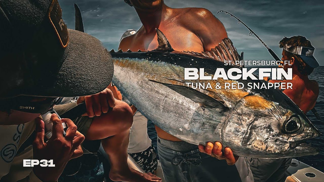 Catching Blackfin Tuna: Beginners Guide to Bottom Fishing for Tuna and Snapper in the Gulf of Mexico