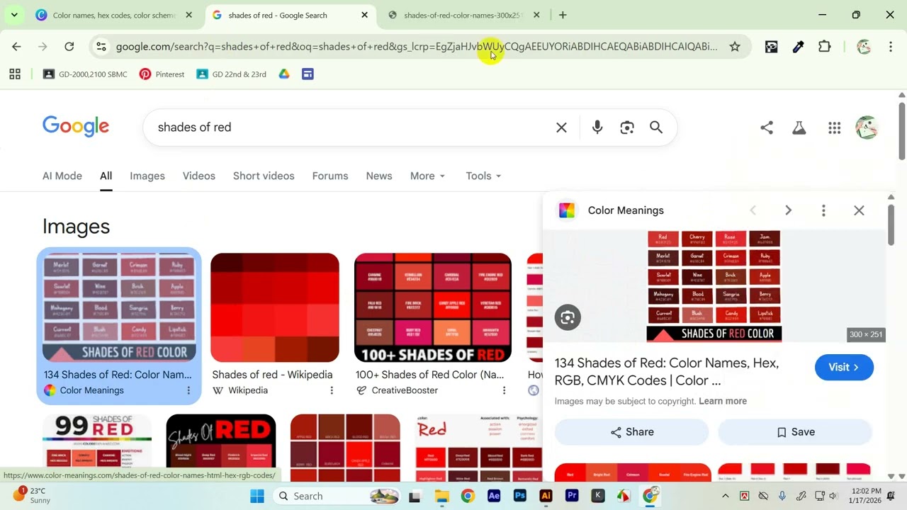Color combination  Graphic Design Class 23