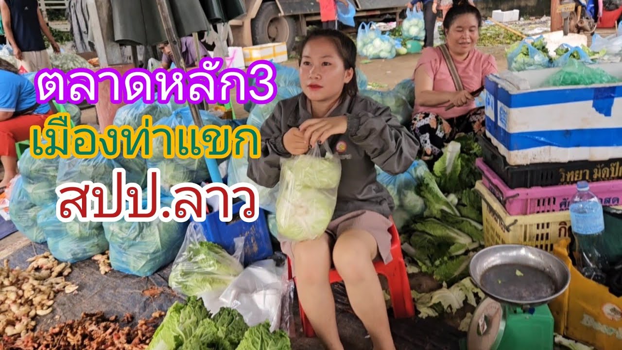 หน่อไม้ที่แพง!!และอร่อยที่สุดในสปป.ลาว??ตลาดเช้าหลัก3 ท่าแขก #สปปลาว #สาวลาว #เที่ยวลาว #ตลาดลาว