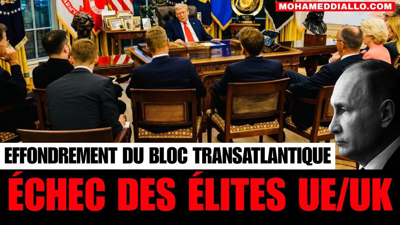 ÉNORME! TRUMP, POUTINE, MELONI, TAKAICHI, GREENLAND | Mohamed Diallo | POSITIVE NEWS
