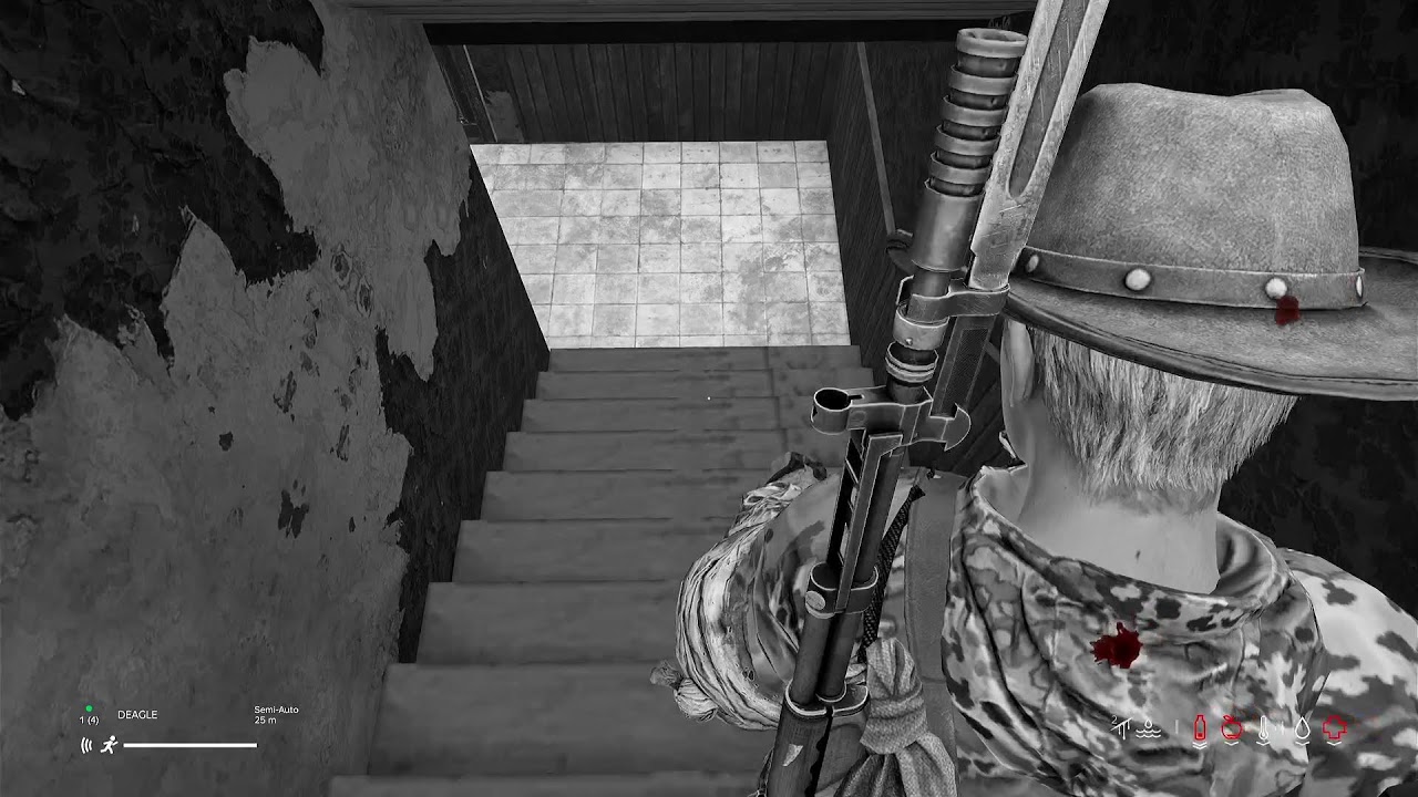 DAYZ (for the first time)