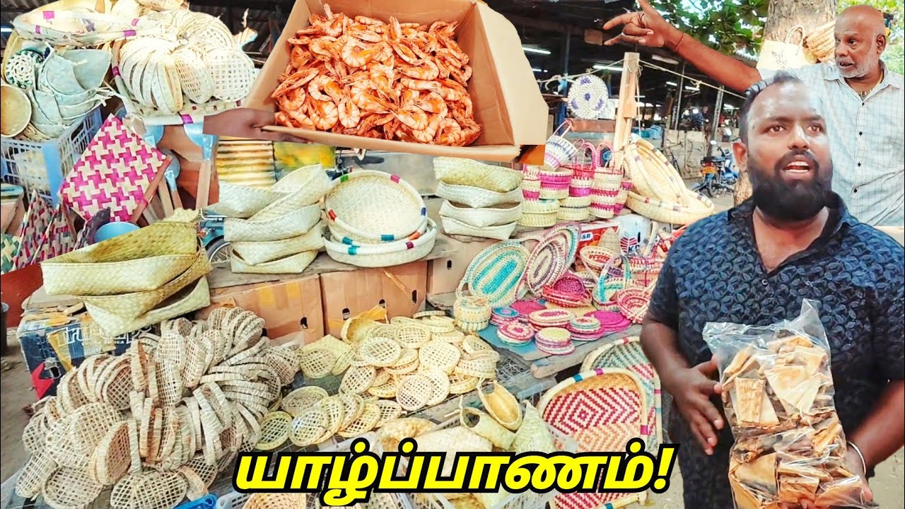 வெளிநாட்டுக்கு அனுப்ப போறோம்!😲 Jaffna Village Tour | Tamil Vlogs | Alasteen Rock