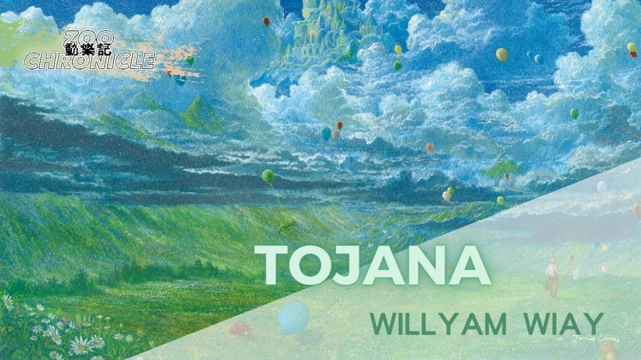 Willyam Wiay - Tojana |爲愛不顧一切 什麽都不在乎|動態歌詞 Lyric Video