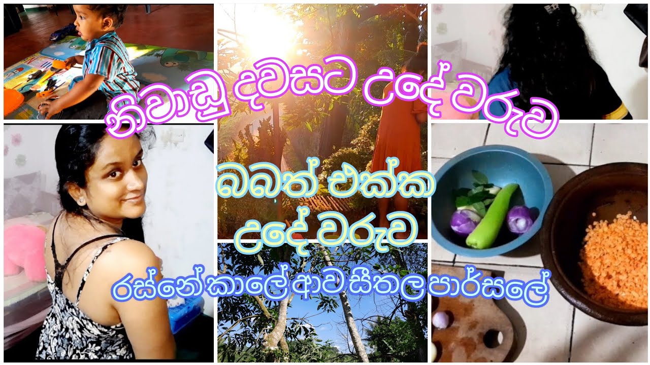 ලස්සන උදේ වරුවක්/මං ඕඩර් කළ සීතල පාර්සලේ #adayinmylife #morning 