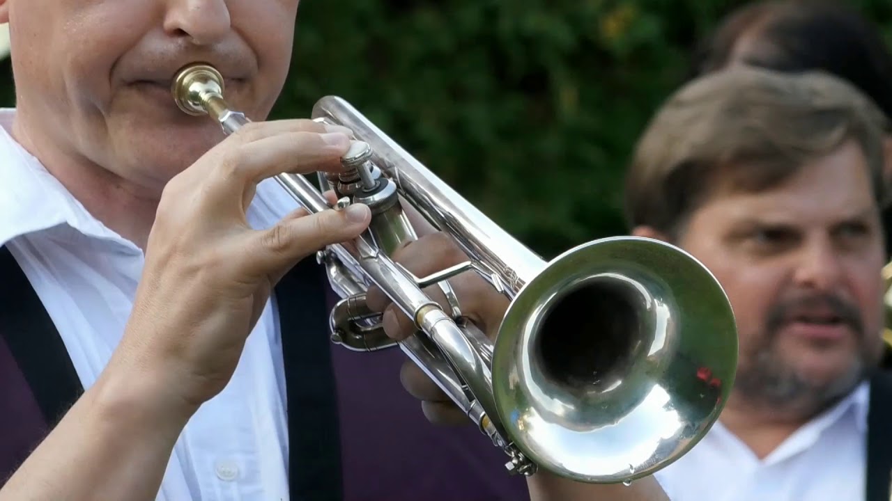 Březovanka - Let čmel&aacute;ka (s&oacute;lo trubka Pavel Hrom&aacute;dka)