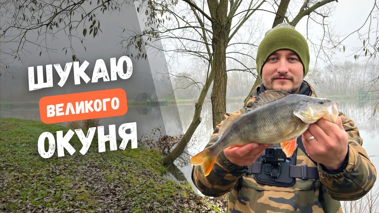 У пошуках ВЕЛИКОГО ОКУНЯ. Осіння рибалка на СИЛІКОН. Окунь на силікон KEITECH SEXY IMPACT.