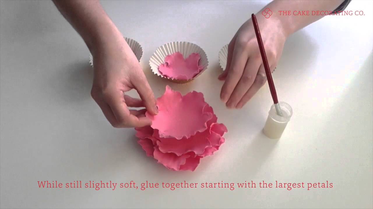 How to Make a Sugarcraft Peony Flower