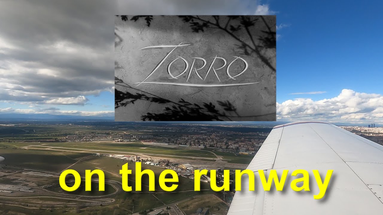 Zorro on the runway :)
