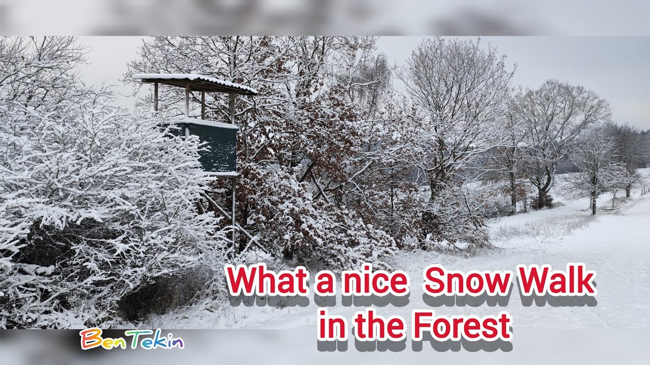 ❄️⛄Beautiful Snow Walk in the Forest ❄️ Schnee- Wald ❄️ Almanya'da karlı orman yürüyüşü ❄️⛄