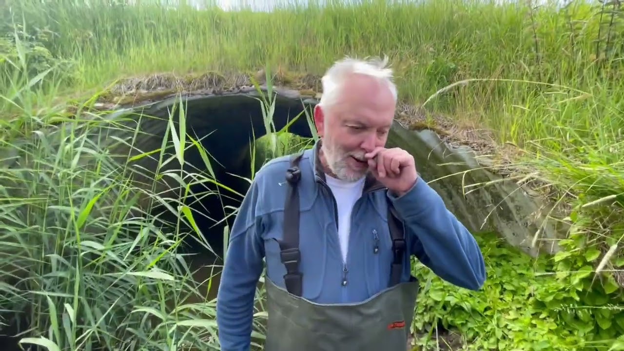 Faunaundersøgelse i Alling åen