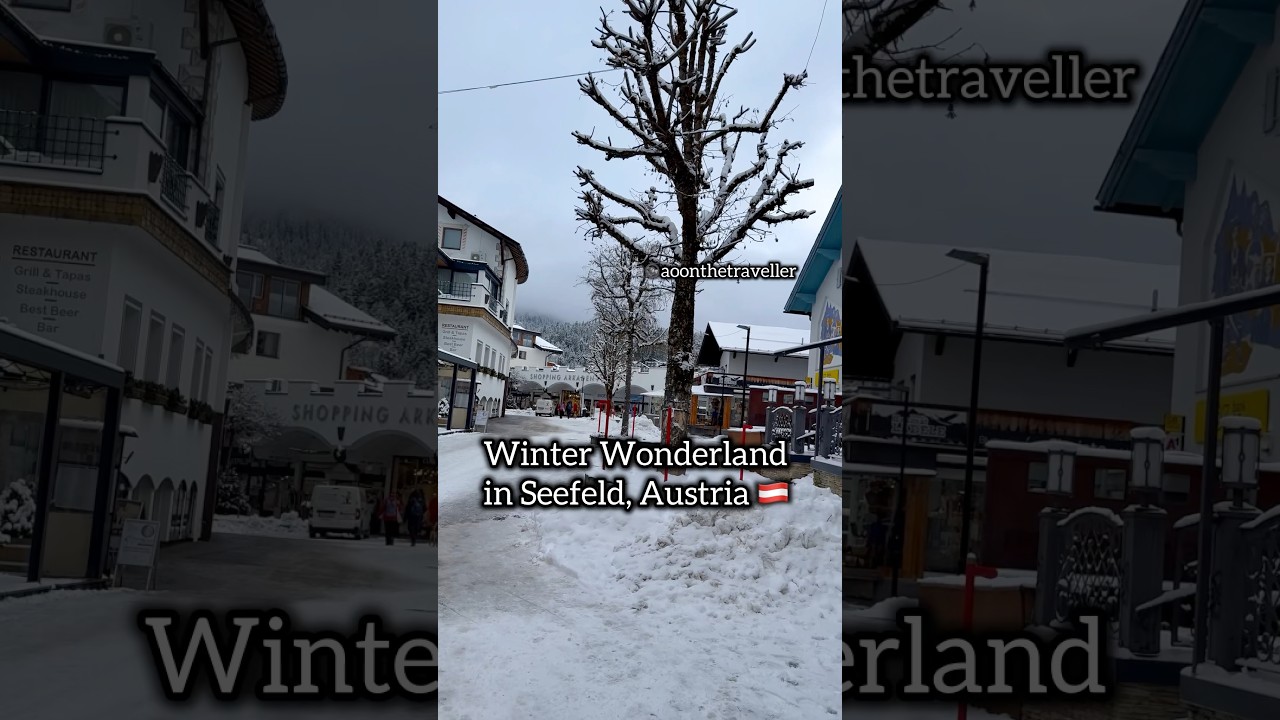 Winter Wonderland in Seefeld, Austria 🇦🇹 #Seefeld