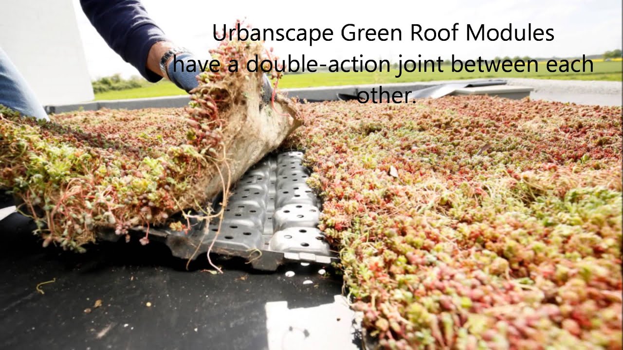Urbanscape DIY - How to install a Green Roof
