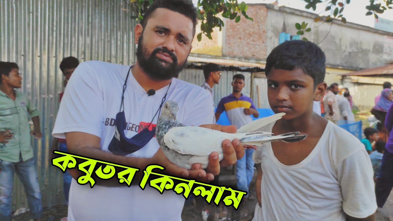 ২৫০ টাকা দিয়ে কবুতর কিনলাম