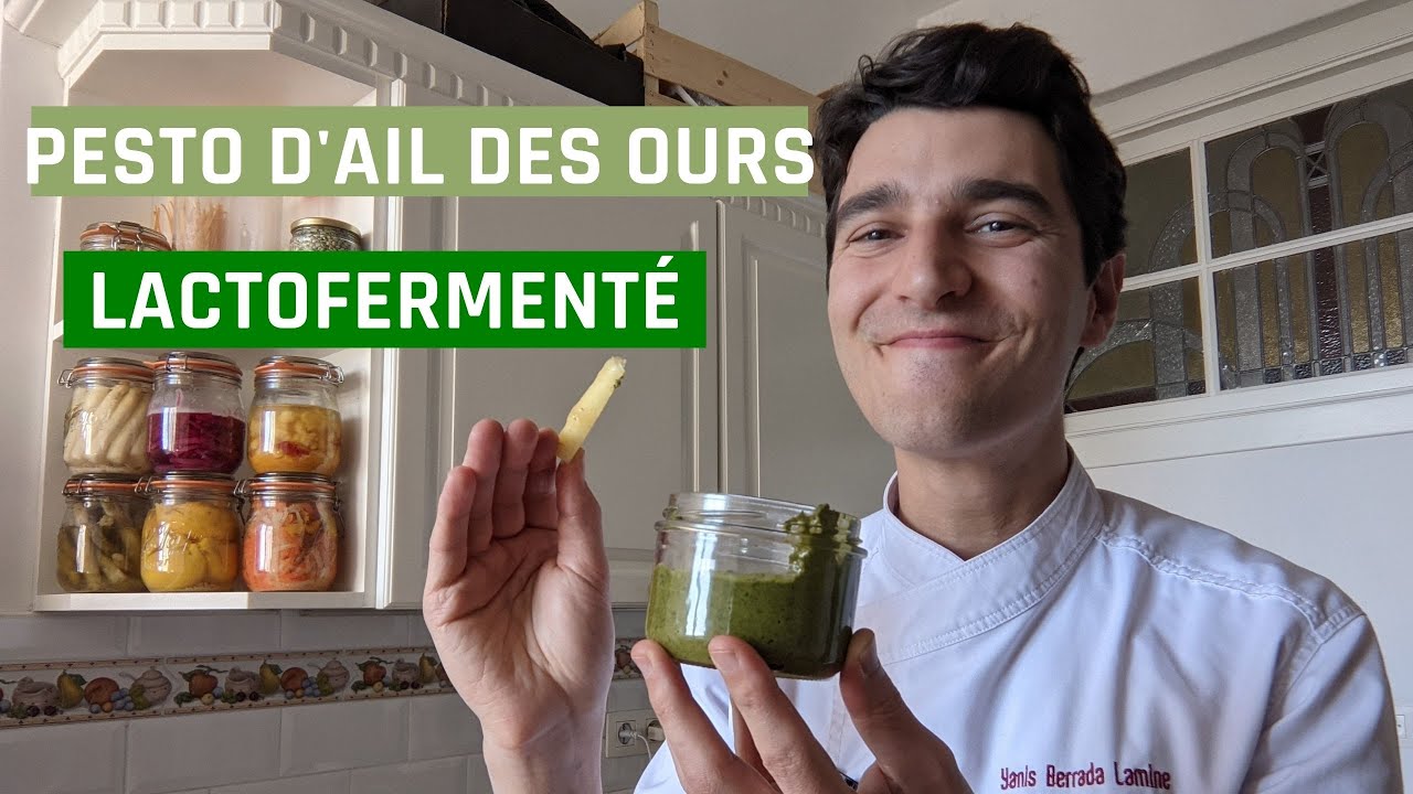 Pesto d'Ail des Ours Lactofermenté