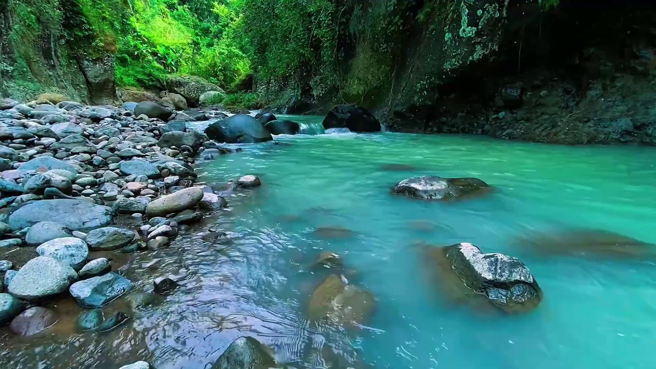 Mountain Stream Gentle Water Sounds, Forest River, Sleeping