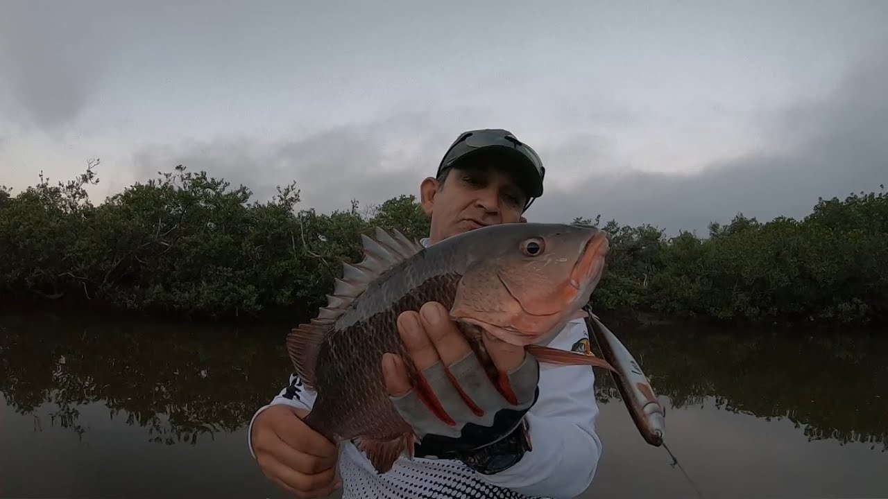 Pescando PARGOS y ROBALOS en los esteros | Lupe Lofish