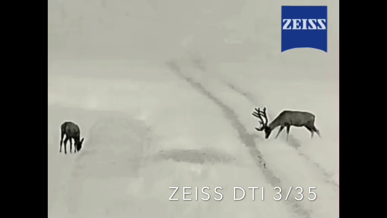 ZEISS DTI 3/35 Red Stag / Jelenie byki