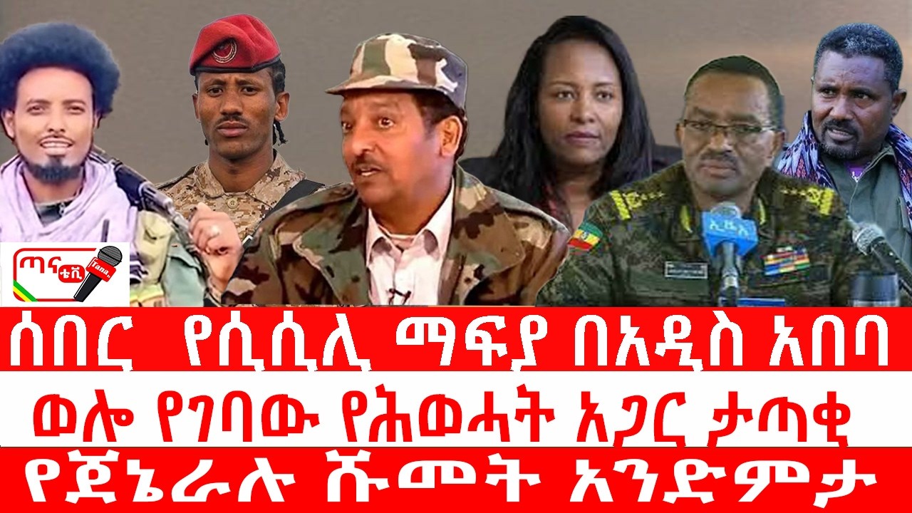 ጣና ዜና፦ መጋቢት 2/2018 ሰበር_ የሲሲሊ ማፍያ በአዲስ አበባ| ወሎ የገባው የሕወሓት አጋር ታጣቂ| የጀኔራሉ ሹመት አንድምታ