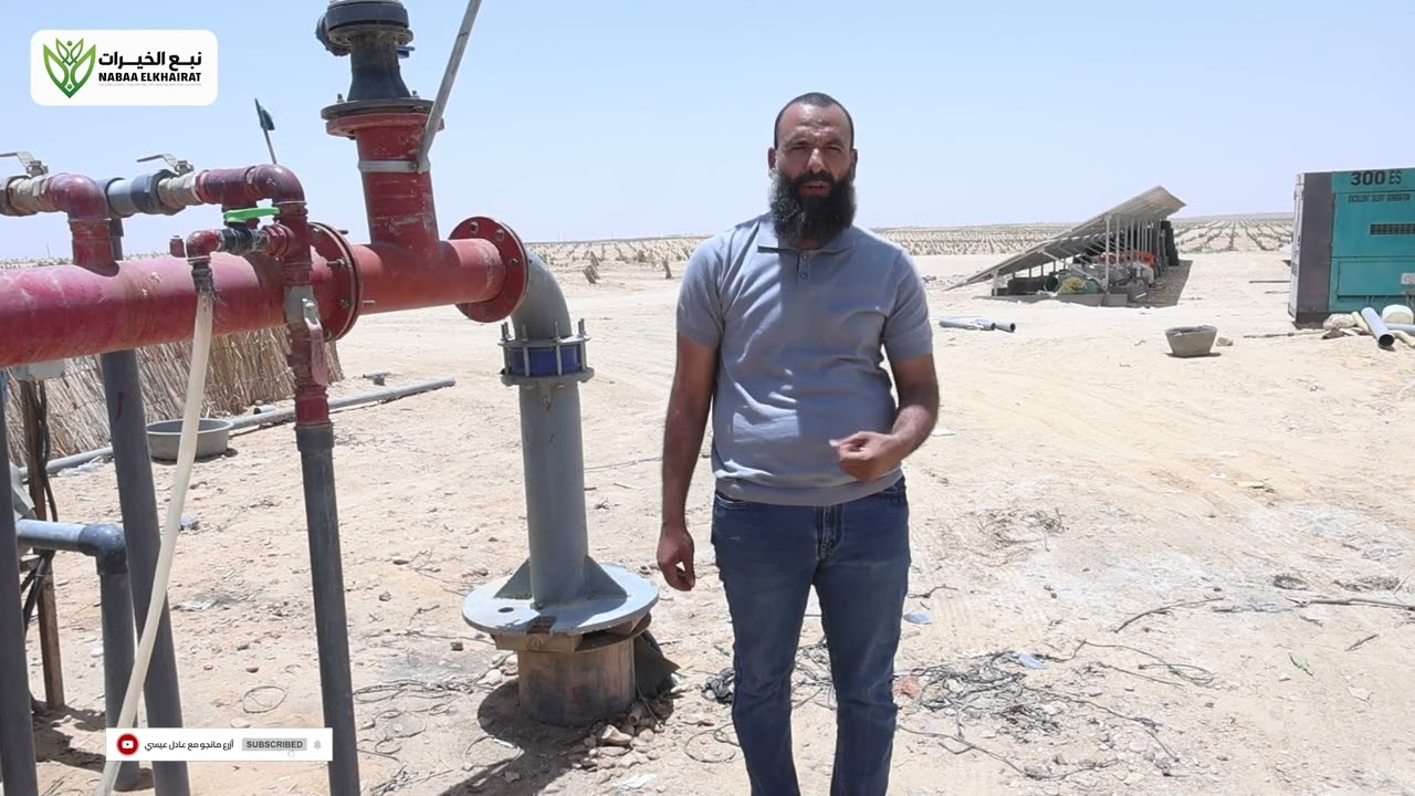 البير هيجيب كام لتر ماية؟ وهيسقي كام فدان؟معلومات لازم تعرفها قبل متعمل بير في مزرعتك والشجر ينشف