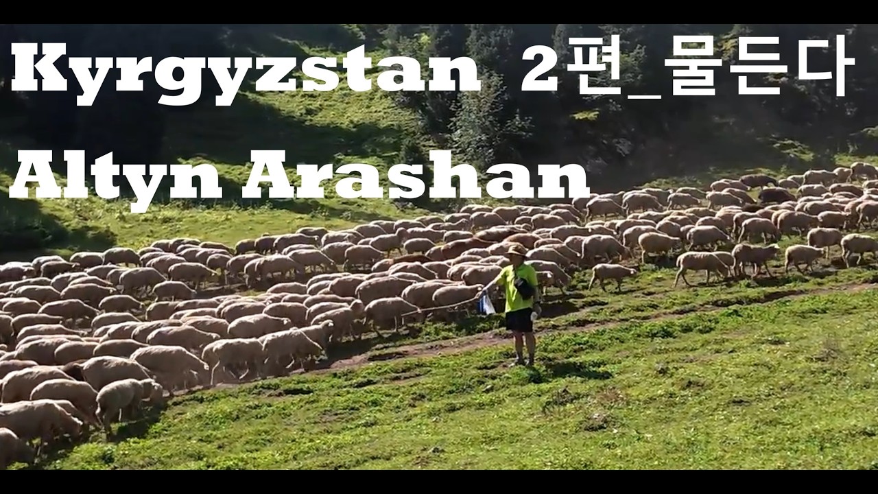 키르기스스탄 알틴아라샨2편-물든다