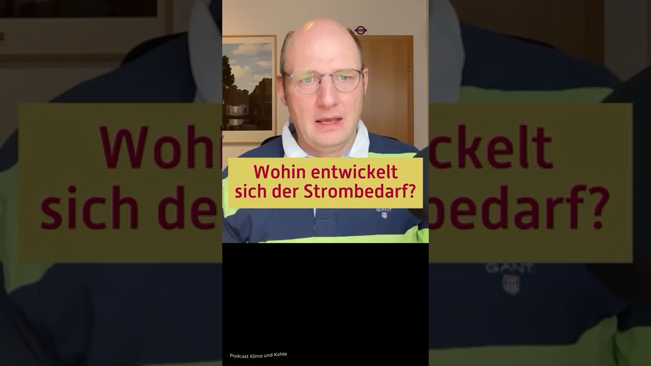 K&uuml;nftiger Strombedarf?