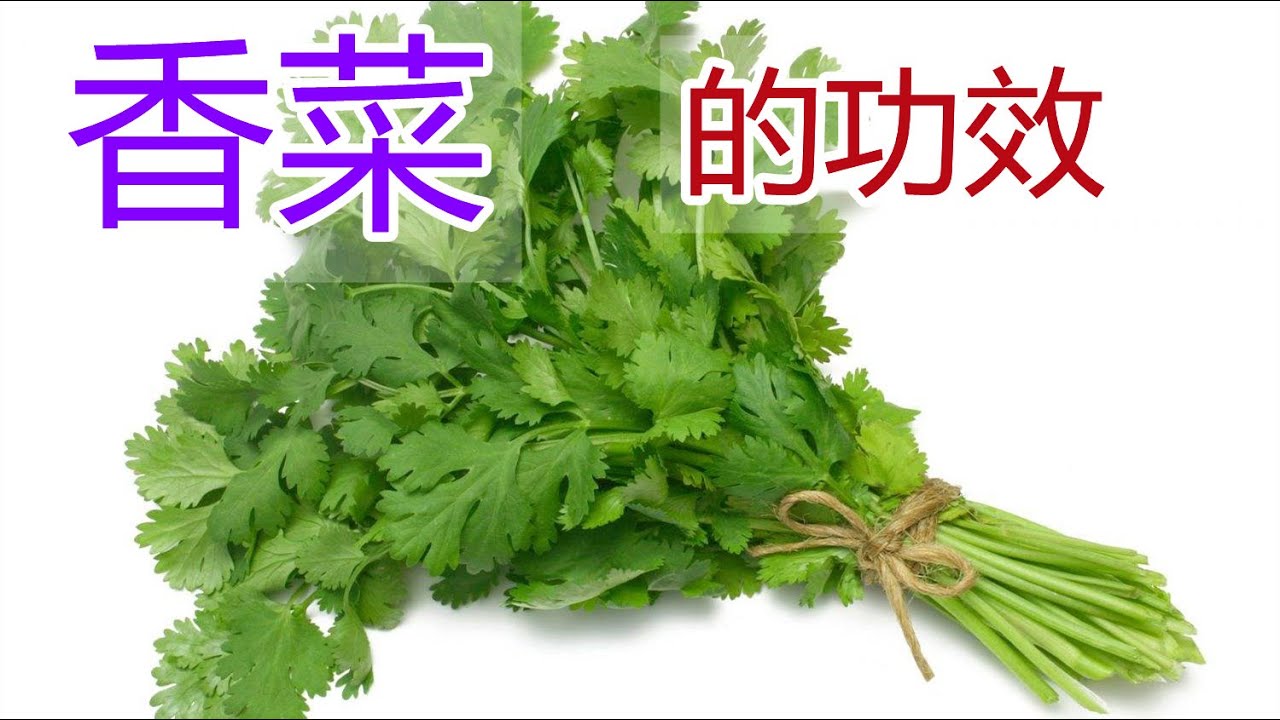 香菜的功效和作用，香菜食疗方法,香菜食用禁忌