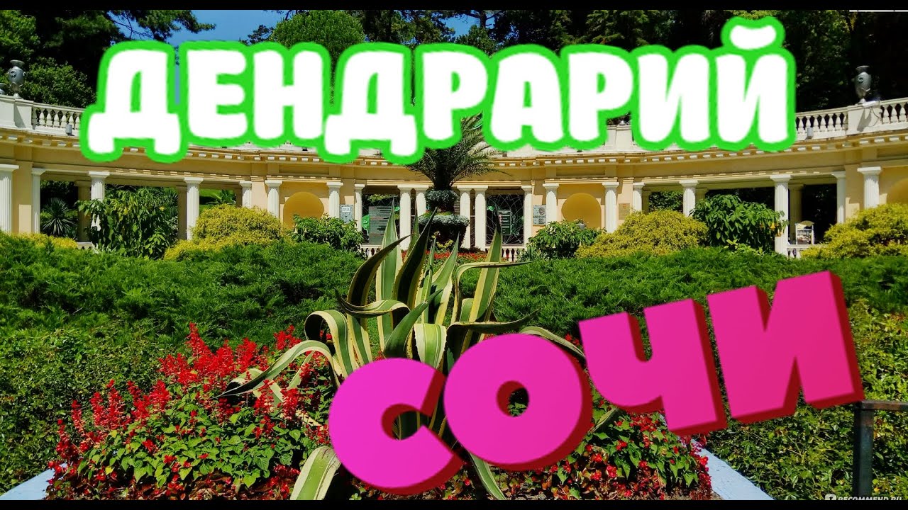 СОЧИ ДЕНДРАРИЙ 2023....С ума сойти!!!!Если вы тут не были это ПРЕСТУПЛЕНИЕ!