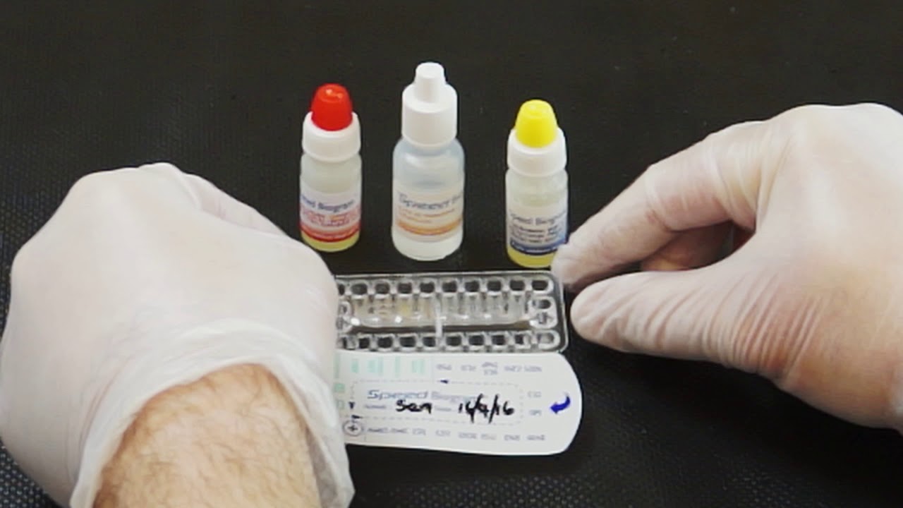 How to perform a Speed Biogram test
