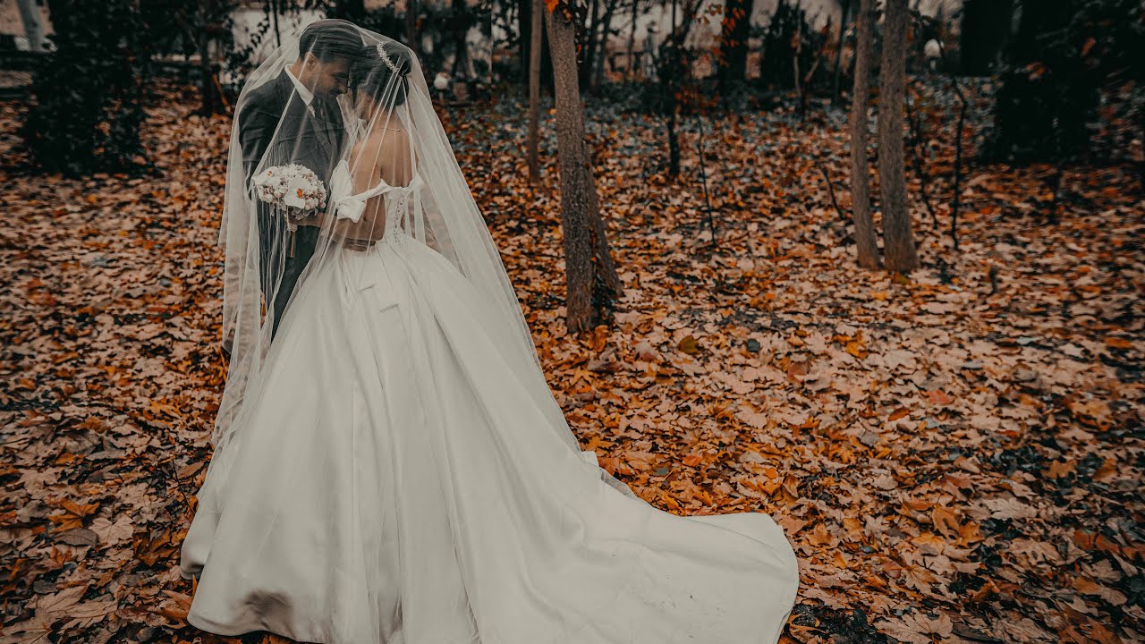 Iranian Wedding-Dear shabnam & alireza 2019 -کلیپ عروسی