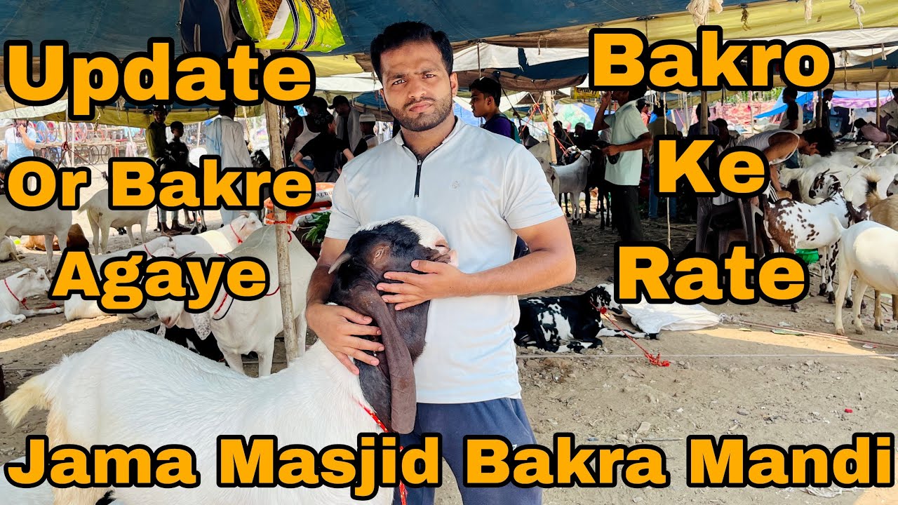 Jama masjid bakra mandi || bakro k rate || or bakre agaye